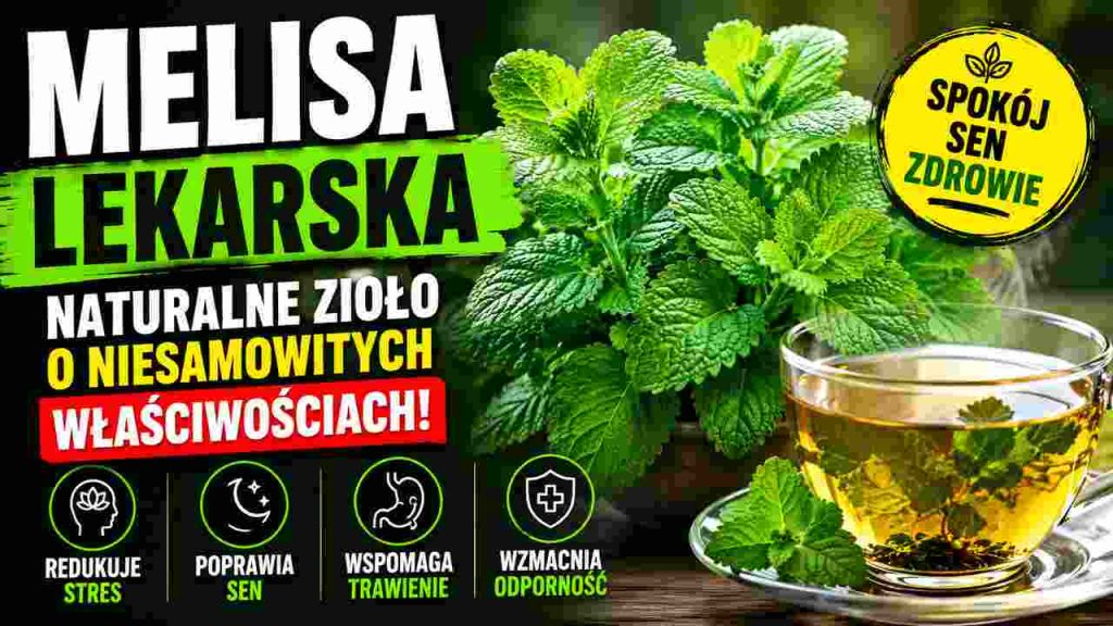 Melisa lekarska