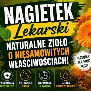 Nagietek lekarski – niezwykłe właściwości zdrowotne znane od wieków